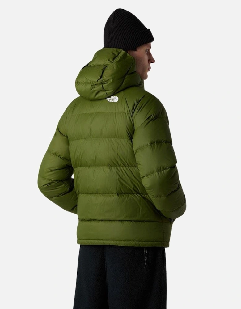 TNF M Hydrenalite Down Hooded Jacket - Woodland Green