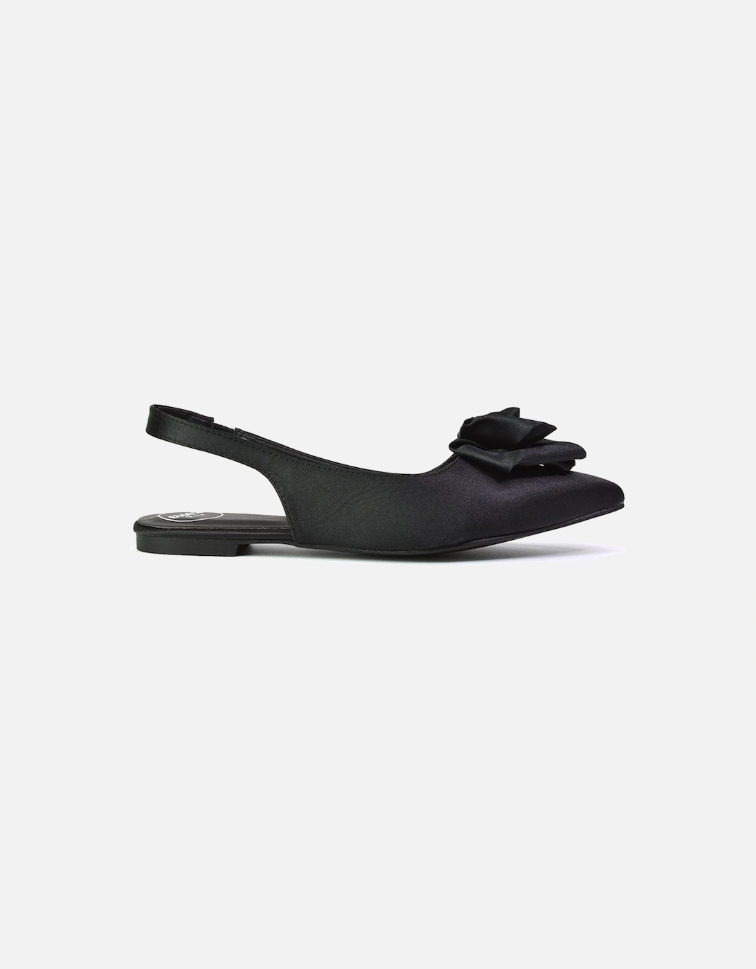 'Zooey' Rose Pointed Toe Sling Back Flat Ballerina Pump Shoes, 2 of 1
