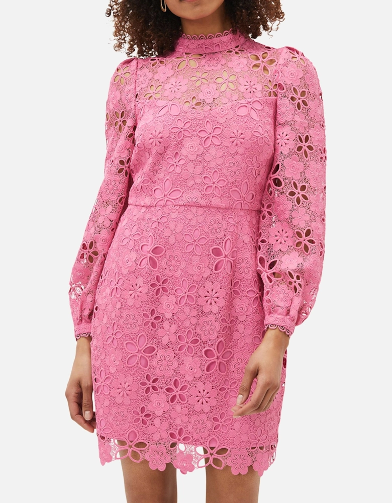 Doris Guipure Lace Highneck Dress Plain