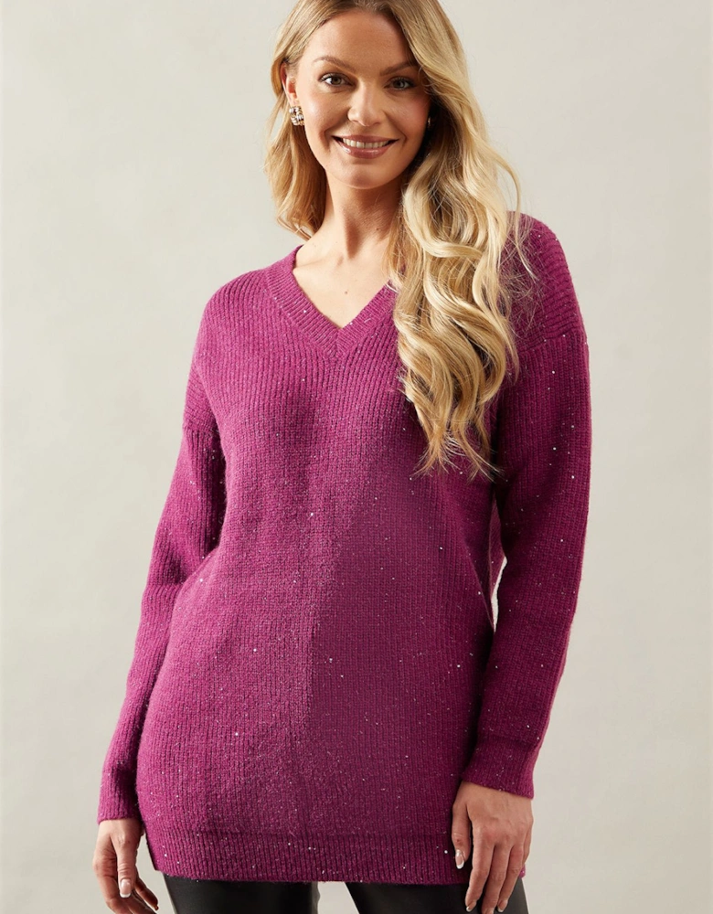 Sequin Knit V Neck Knitted Tunic Dress