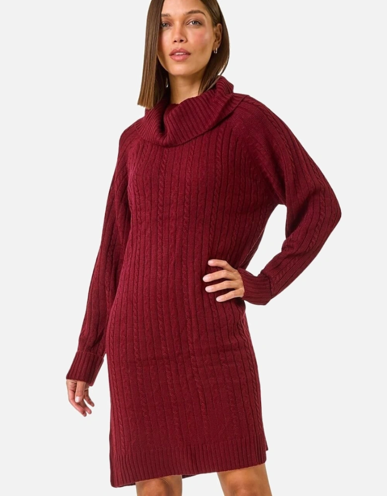 Roll Neck Knitted Jumper Dress