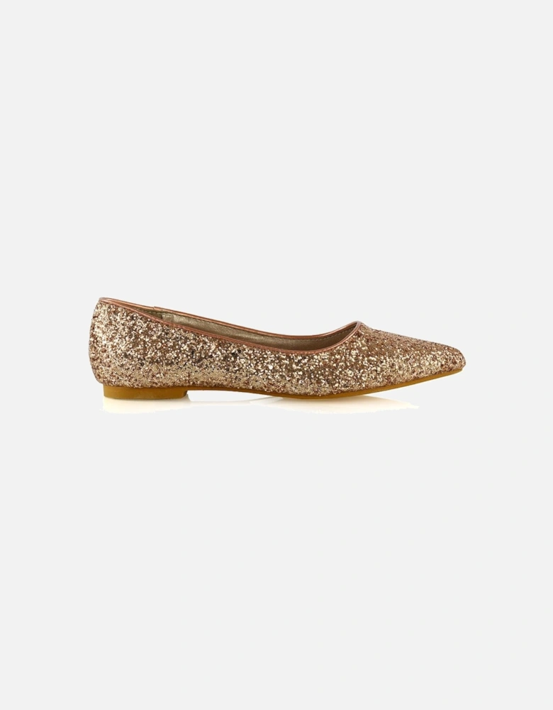 'Rosalie' Statement Pointed Toe Flat Bridal Ballerina Pump Shoes