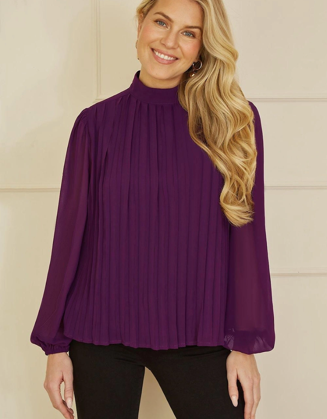Plum Pleated Long Sleeve Top With High Neck, 2 of 1
