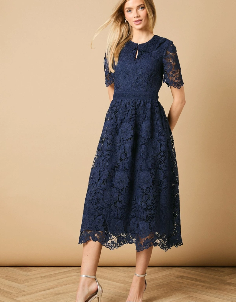 Occasion Lace Collared Midi Dress