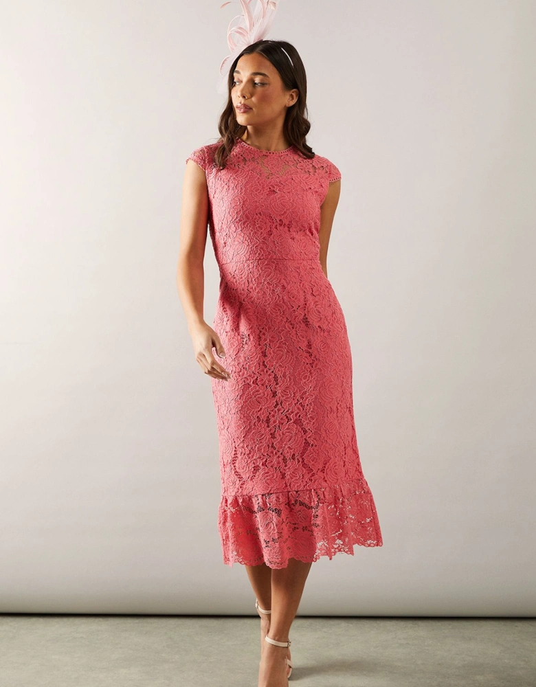 Petite Cap Sleeve Flute Hem Lace Pencil Dress