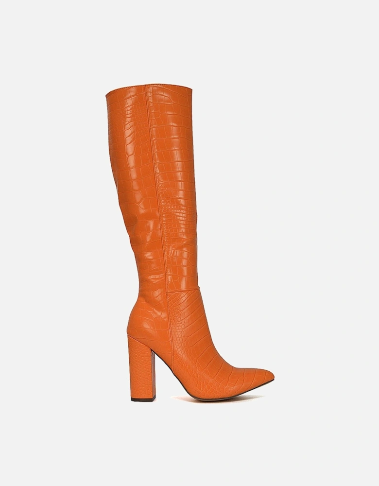 'Rhode' Pointed Toe Block High Heel Long Knee High Boots With Zip