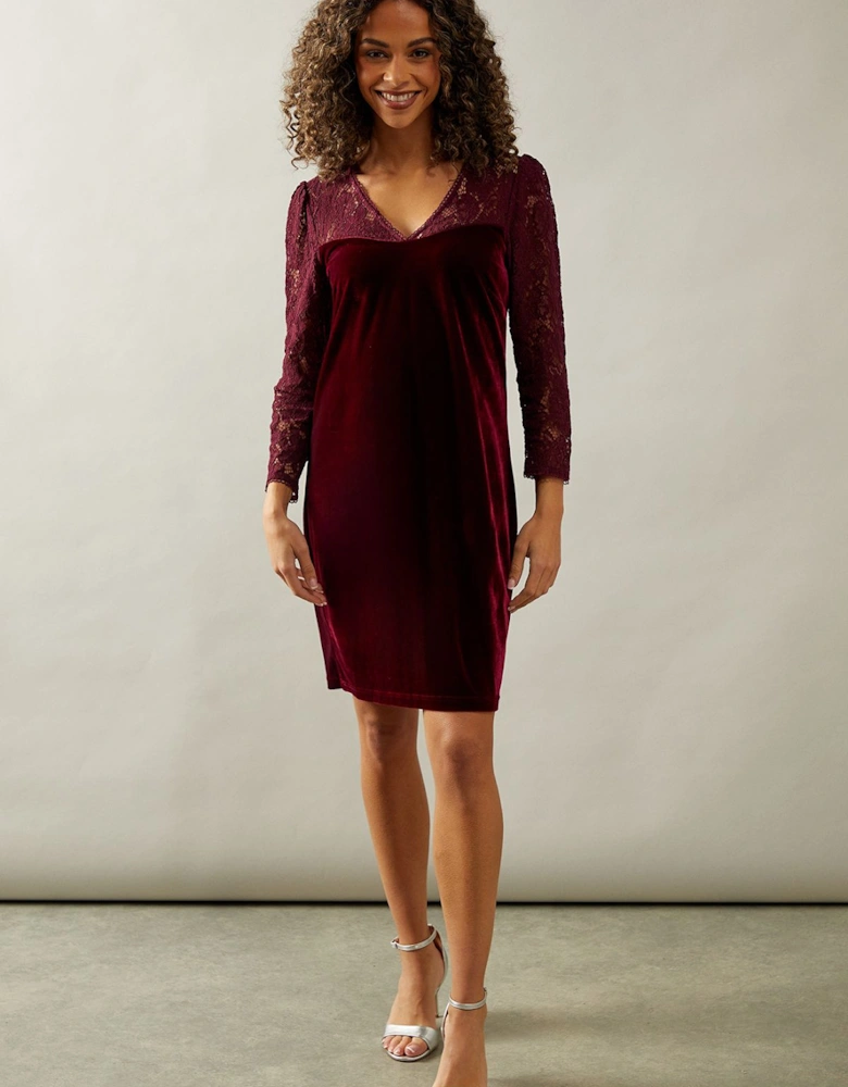 Occasion Lace Sleeve Velvet Shift Dress