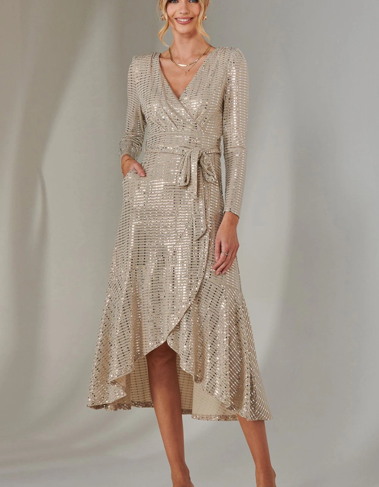 Long Sleeve Metallic Spot Maxi Dress
