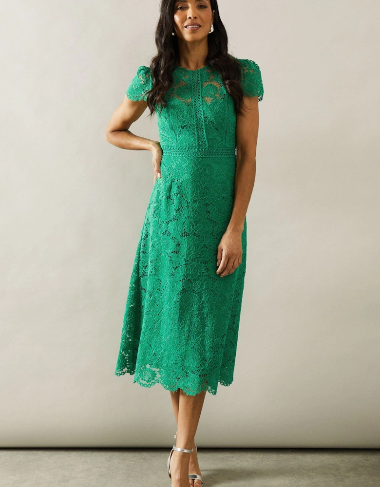 Lace Fit And Flare Midi Dress