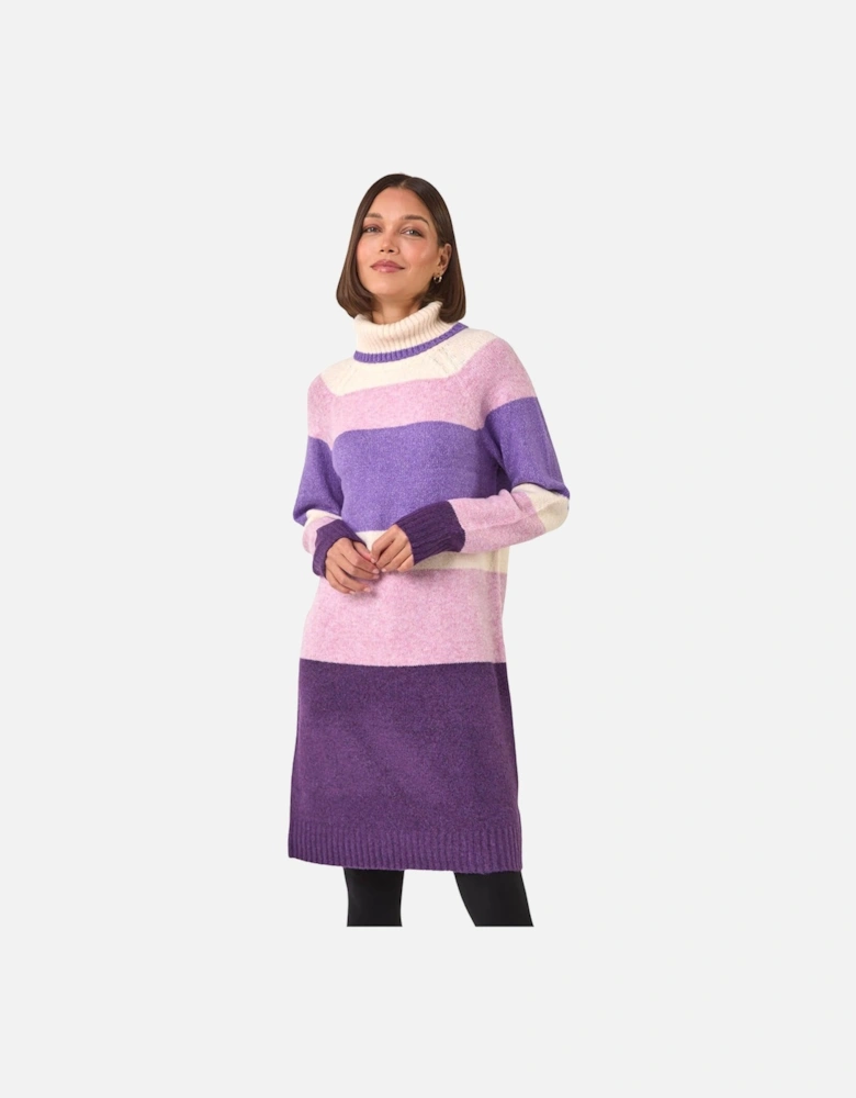 Stripe Roll Neck Knitted Dress