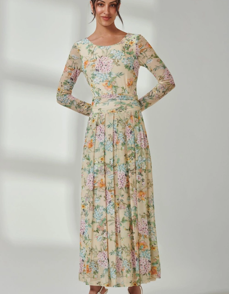 Floral Long Sleeve Mesh Maxi Dress