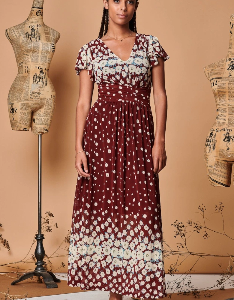 Carlii Symmetrical Print Mesh Maxi Dress