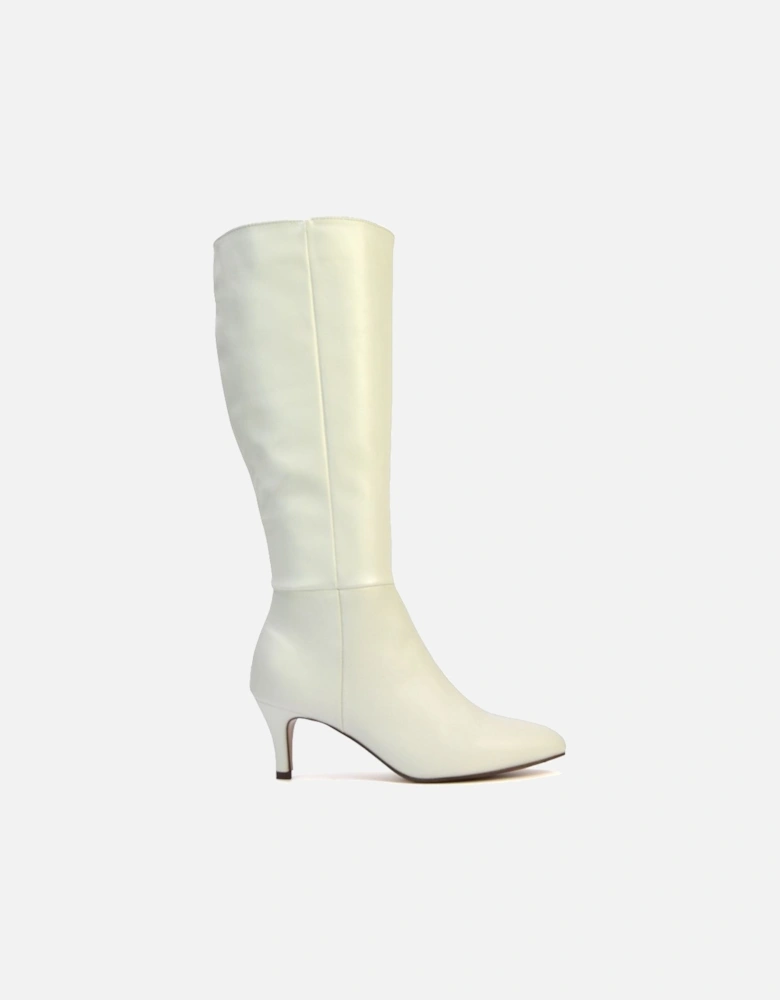 'Coby' Pointed Mid Stiletto Heel Knee High Boots