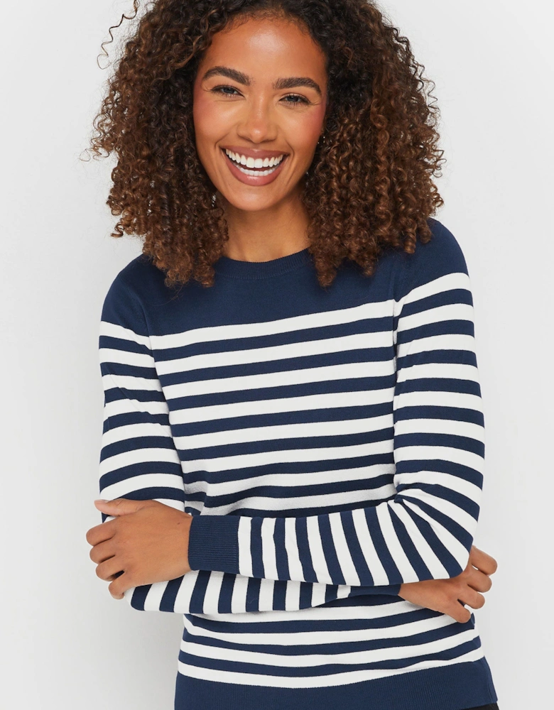 Stripe Print Jumper