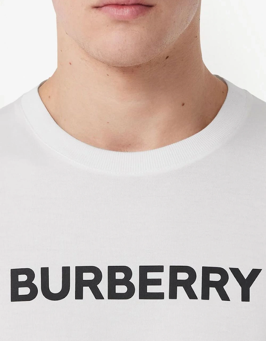 Harriston Logo Print T-Shirt White