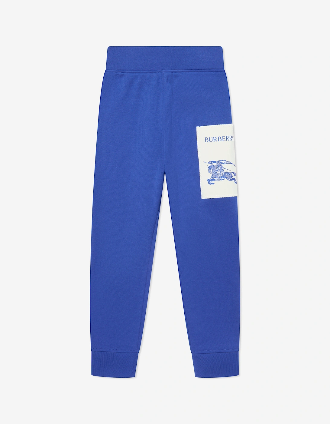 Boys EKD Label Sidney Joggers in Blue, 6 of 5
