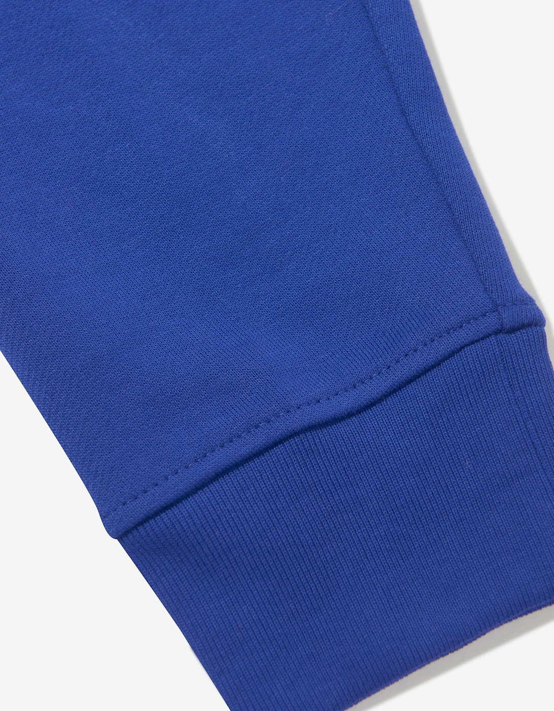 Boys EKD Label Sidney Joggers in Blue