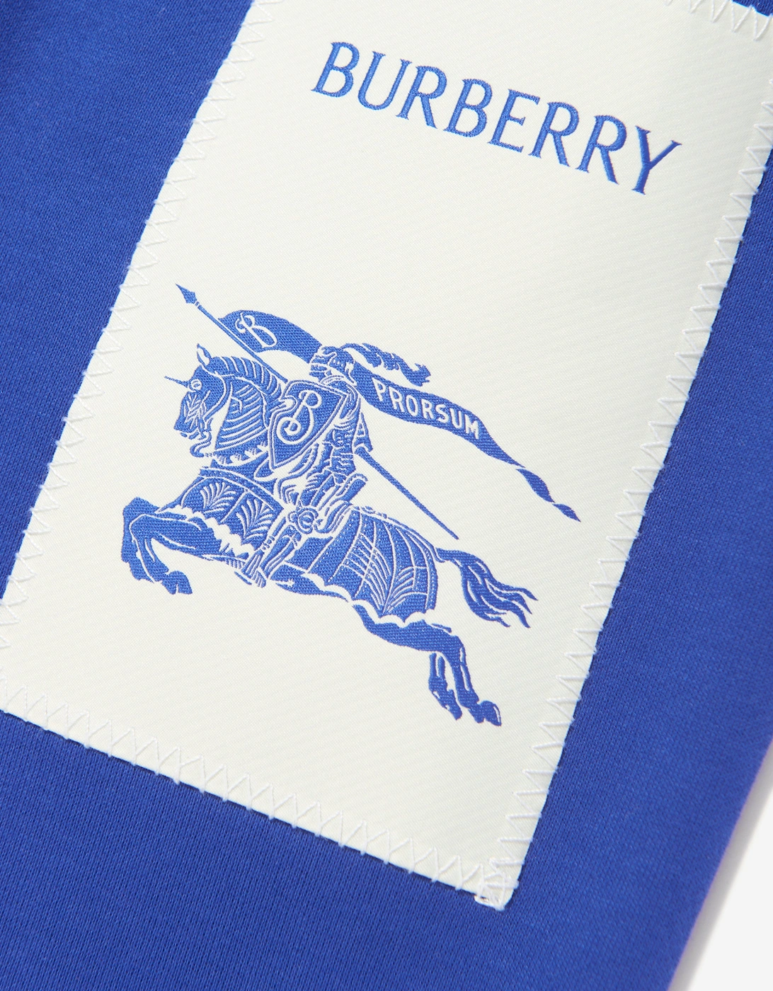 Boys EKD Label Sidney Joggers in Blue
