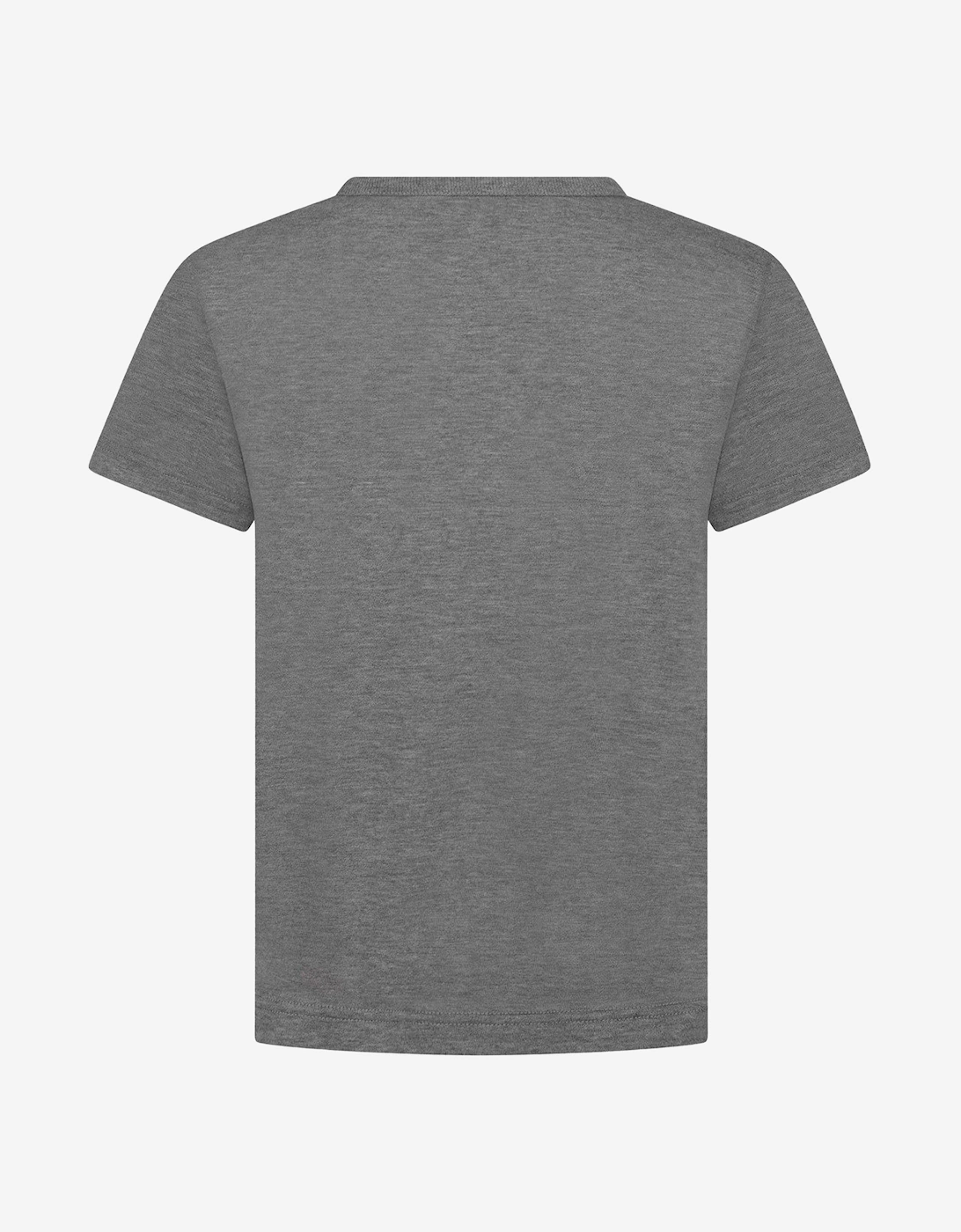 Boys Cotton Jersey Logo T-Shirt in Grey