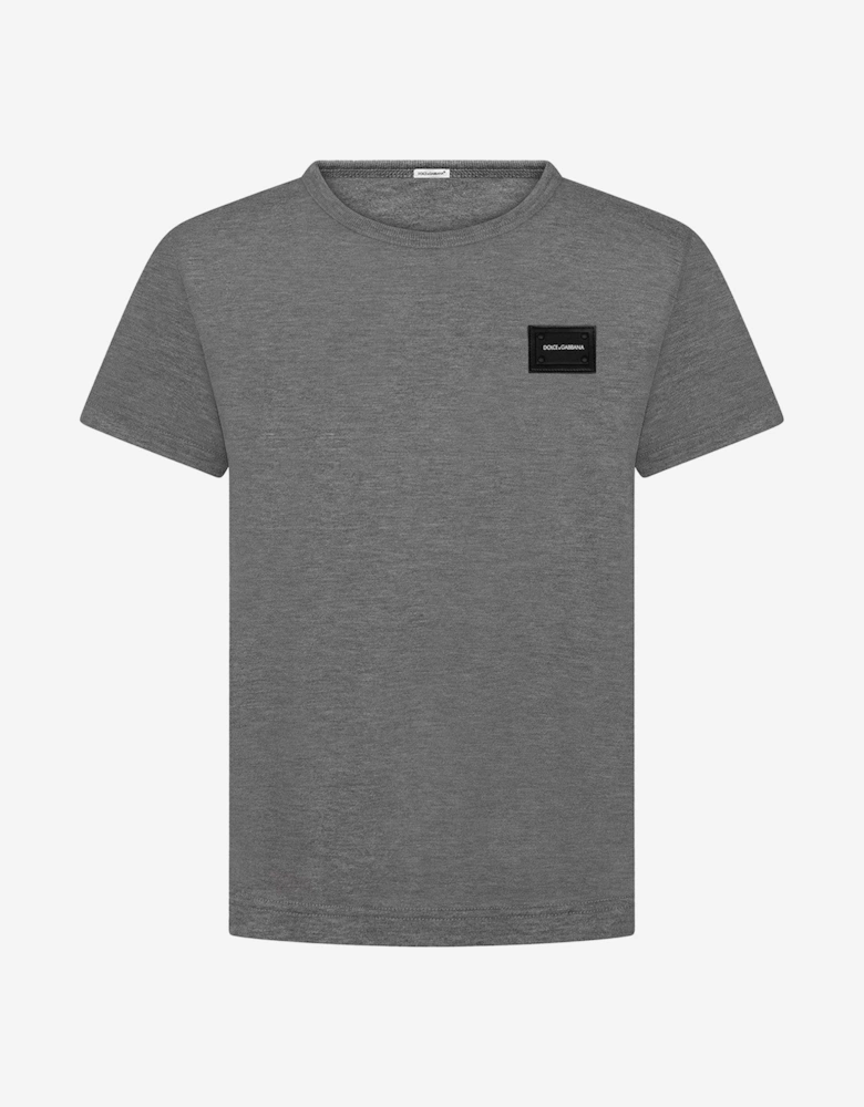 Boys Cotton Jersey Logo T-Shirt in Grey