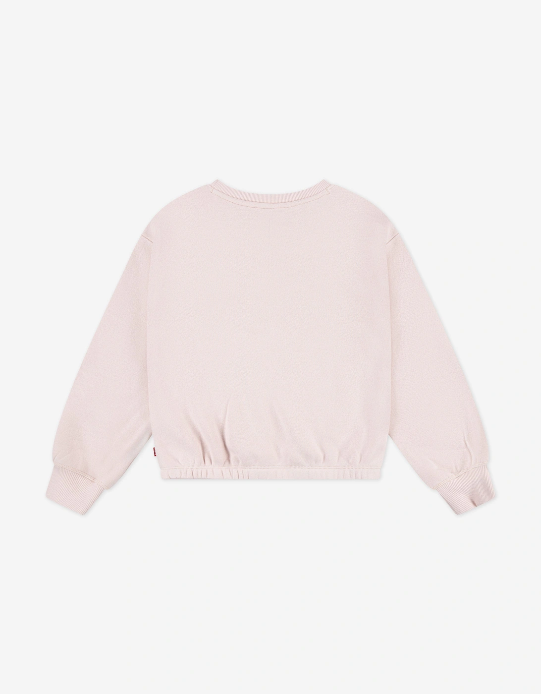 Girls Logo Sweatshirt in Pink