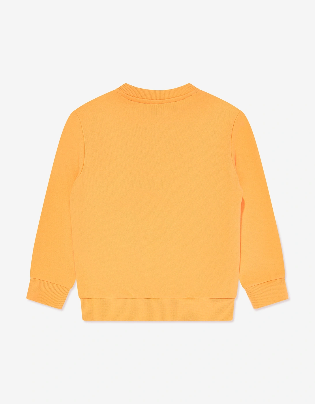 Boys Logo Sweatshirt in Orange