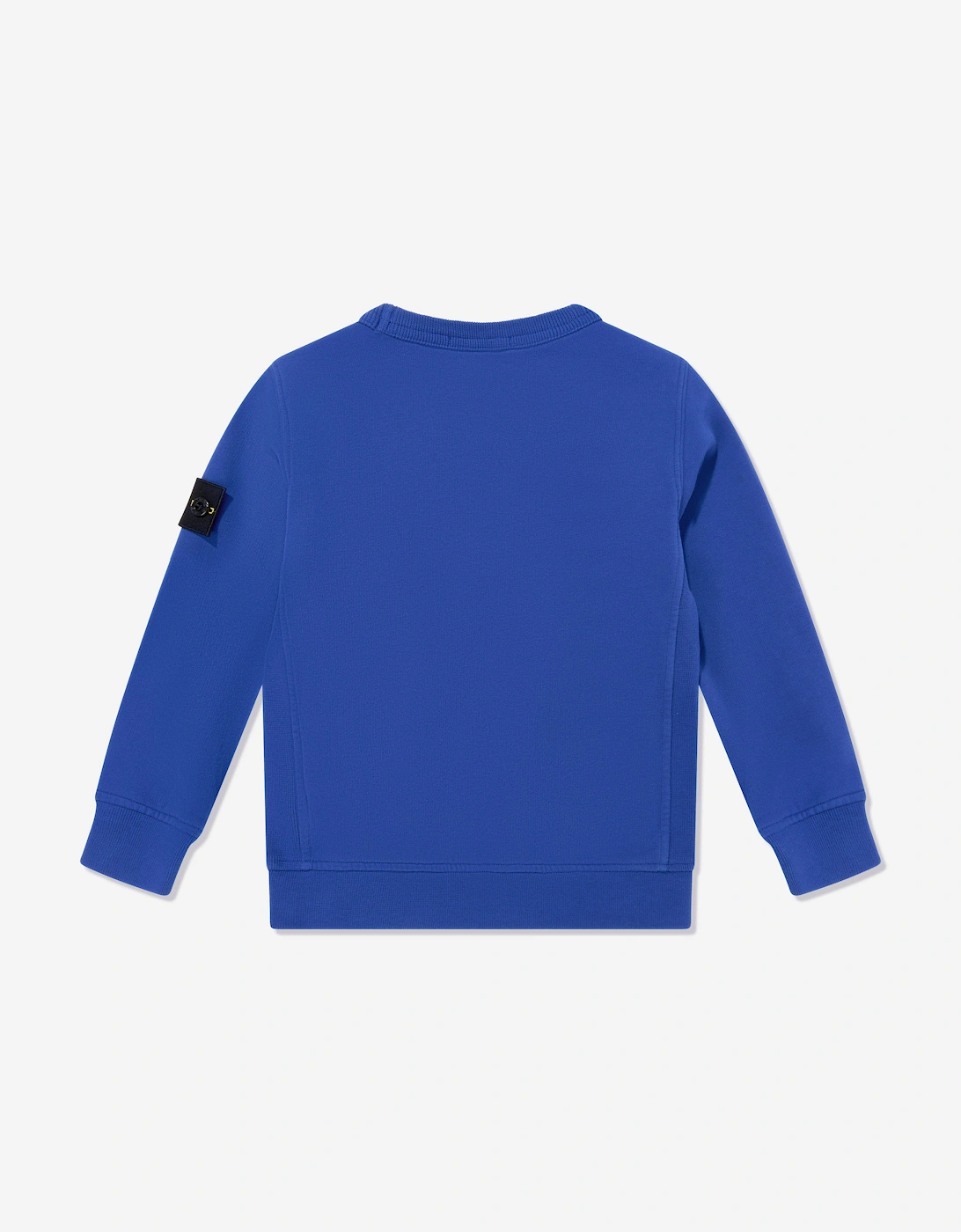 Boys Logo Sweatshirt in Blue