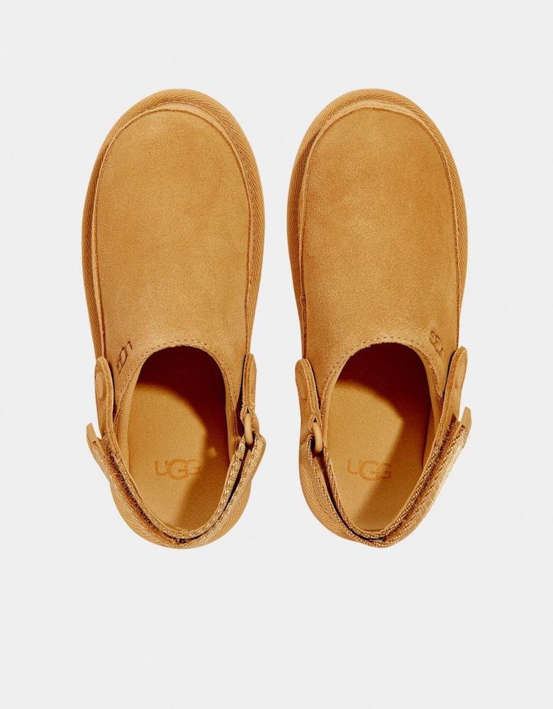 Girls Goldenstar Clogs in Brown