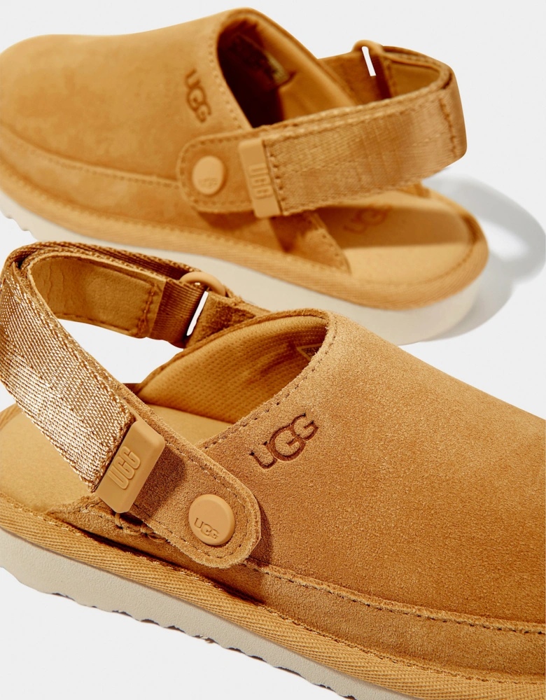 Girls Goldenstar Clogs in Brown