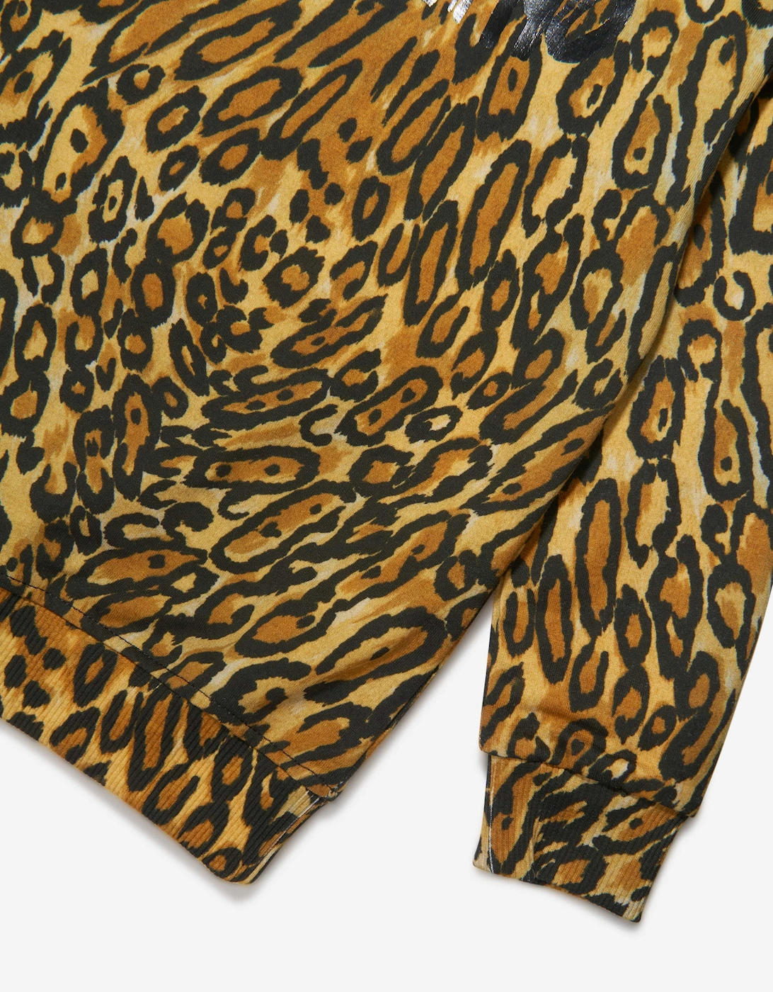 Boys Leopard Print Sweatshirt in Brown