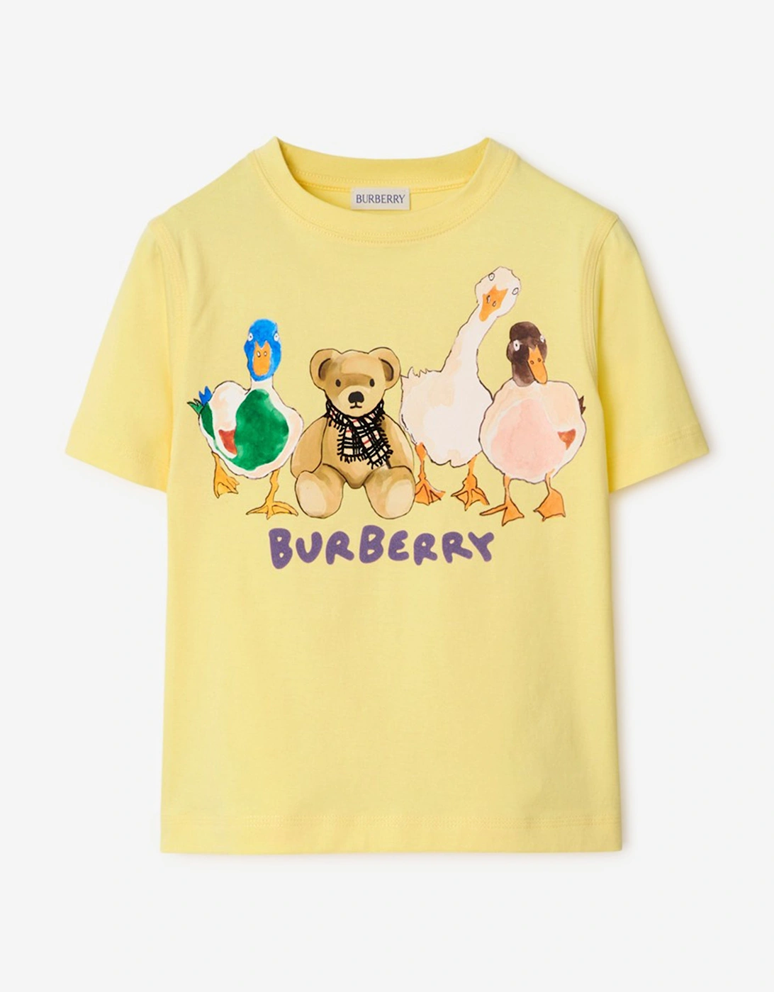 Boys Teddy and Friends T-Shirt in Yellow, 5 of 4