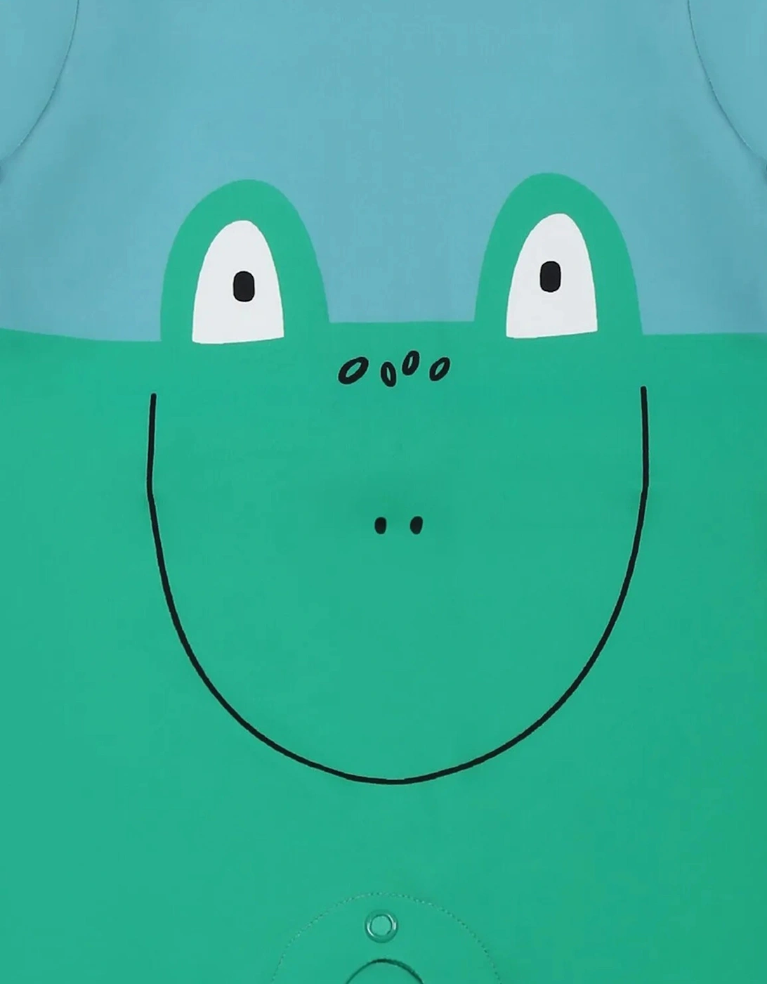 Baby Boys Frog All In One Swimsuit in Green