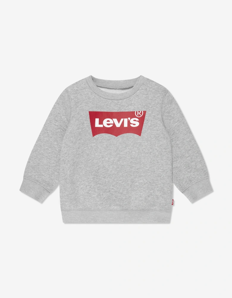 Baby Boys Batwing Crewneck Sweatshirt in Grey