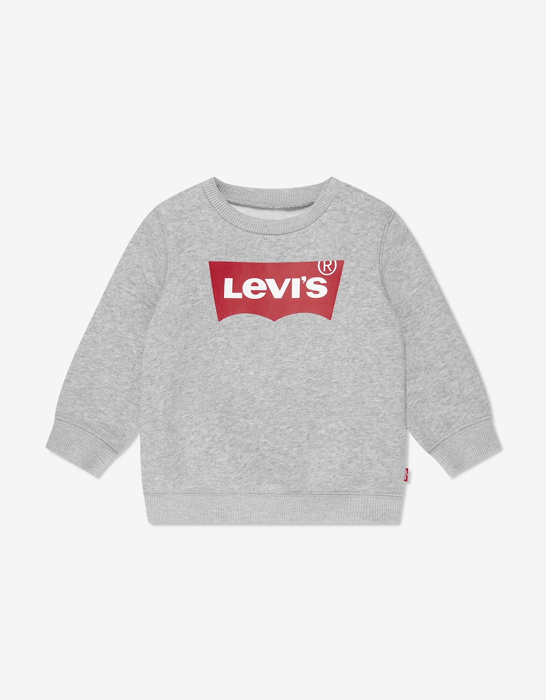 Baby Boys Batwing Crewneck Sweatshirt in Grey