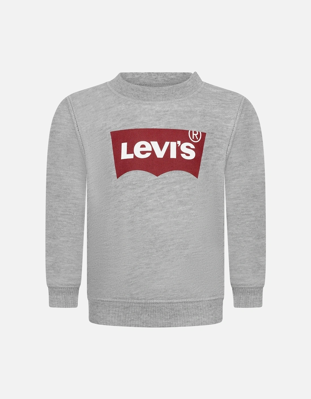 Baby Boys Batwing Crewneck Sweatshirt in Grey, 13 of 12