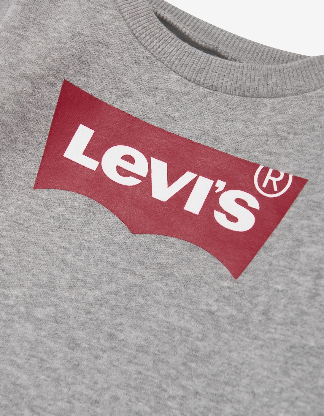 Baby Boys Batwing Crewneck Sweatshirt in Grey