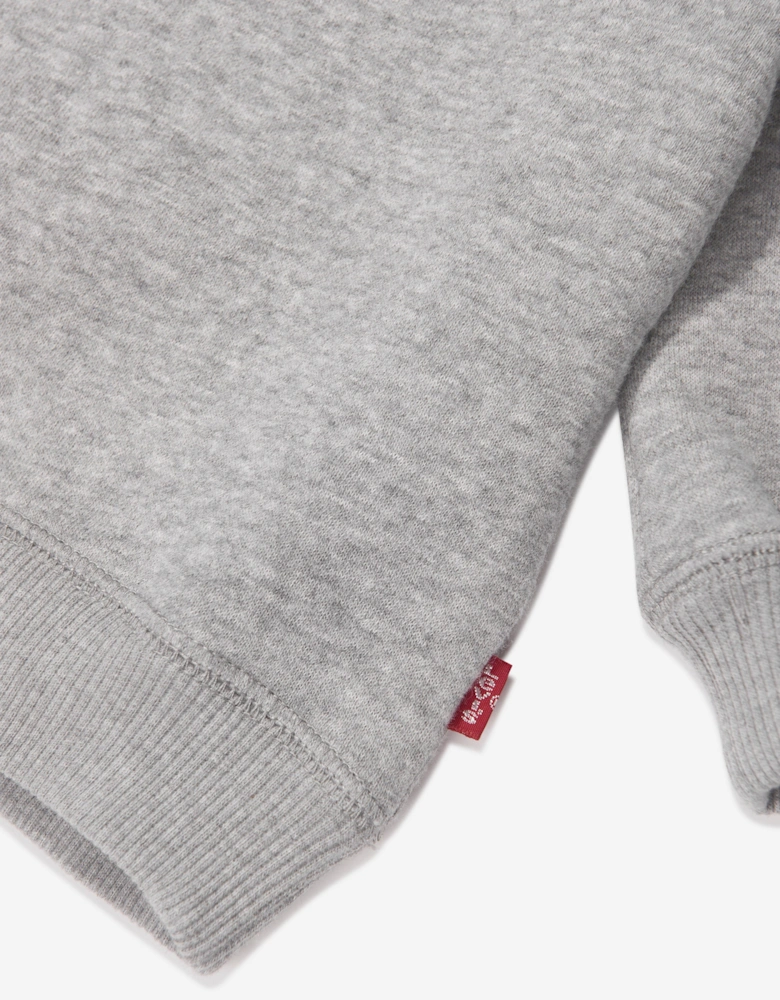 Baby Boys Batwing Crewneck Sweatshirt in Grey