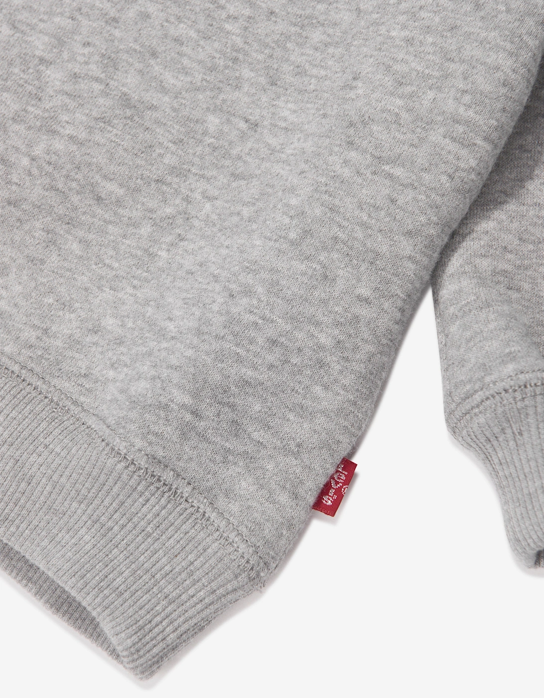 Baby Boys Batwing Crewneck Sweatshirt in Grey