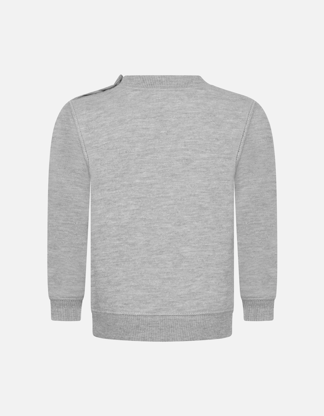 Baby Boys Batwing Crewneck Sweatshirt in Grey