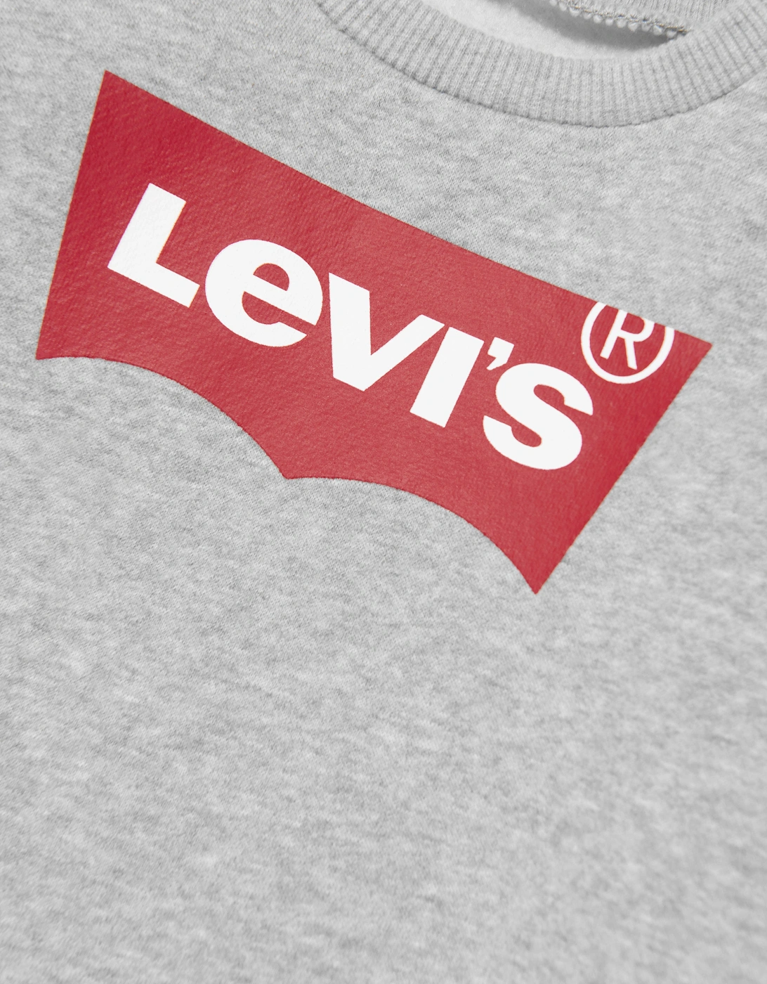 Baby Boys Batwing Crewneck Sweatshirt in Grey