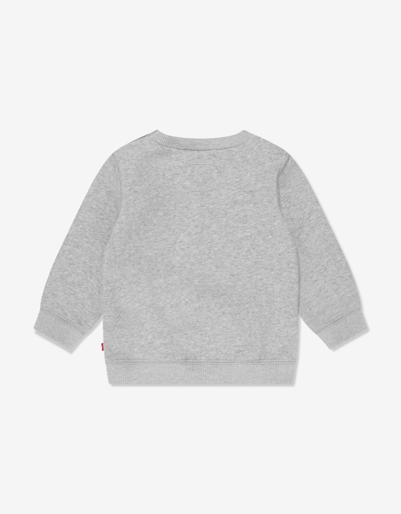 Baby Boys Batwing Crewneck Sweatshirt in Grey