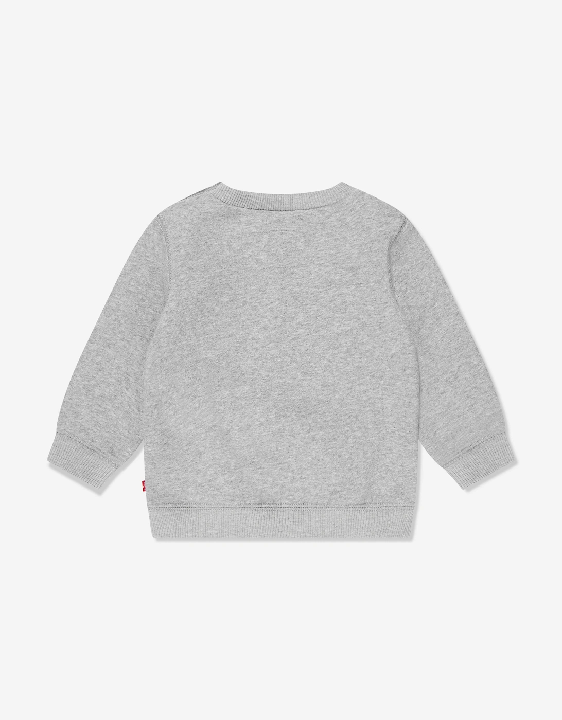 Baby Boys Batwing Crewneck Sweatshirt in Grey