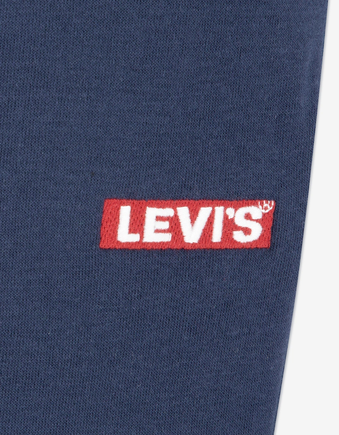 Boys Box Tab Joggers in Blue