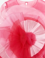 Thumbnail 6 of 6