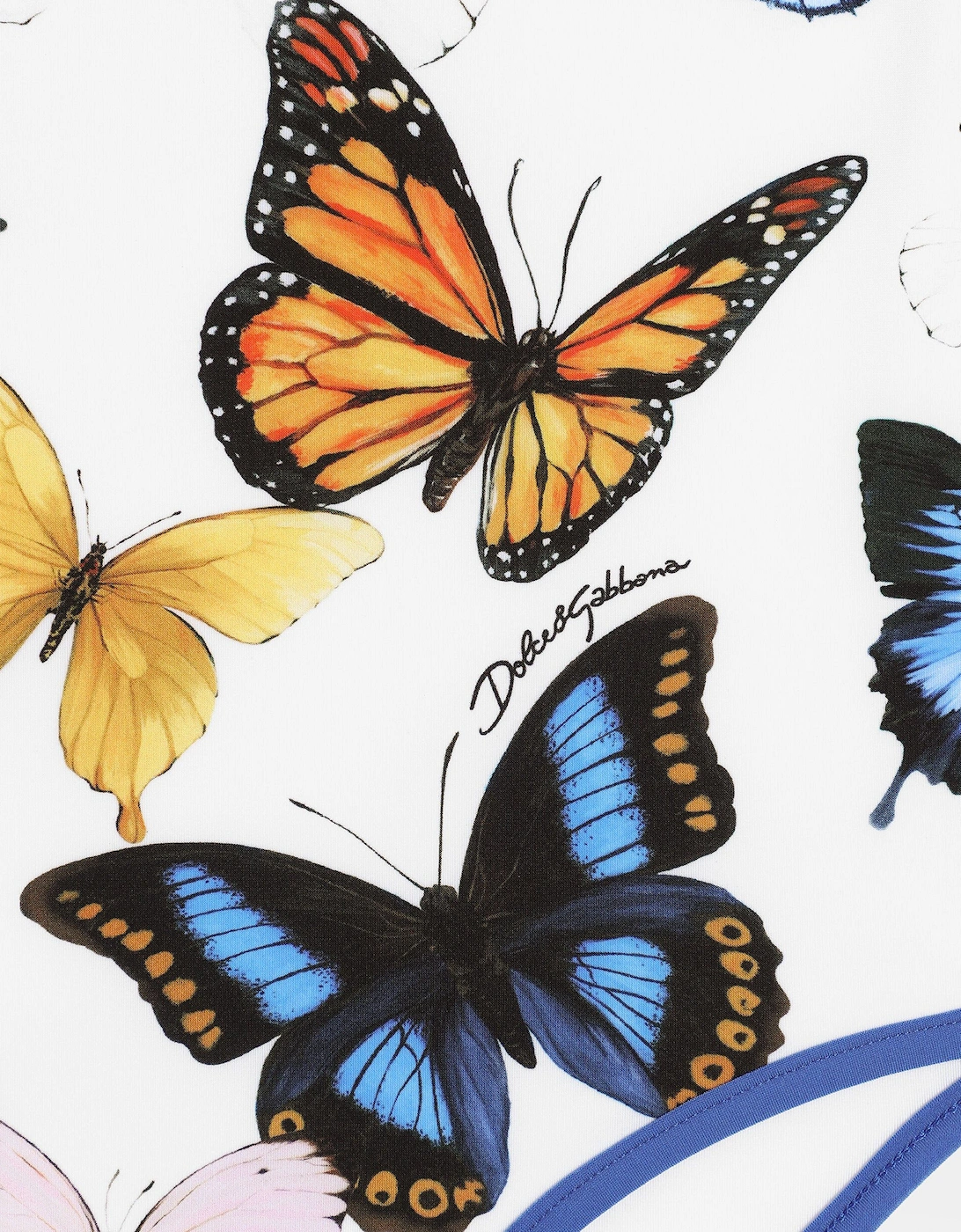 Girls Butterfly Print Swimsuit in Multicolour