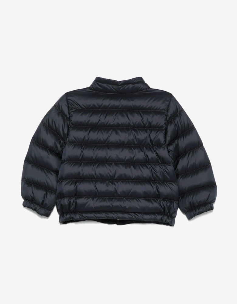 Baby Boys Down Padded Acorus Jacket in Navy
