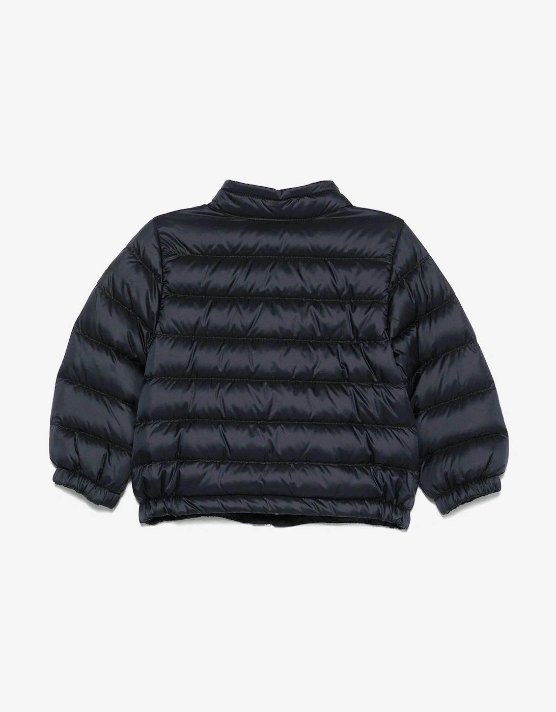 Baby Boys Down Padded Acorus Jacket in Navy