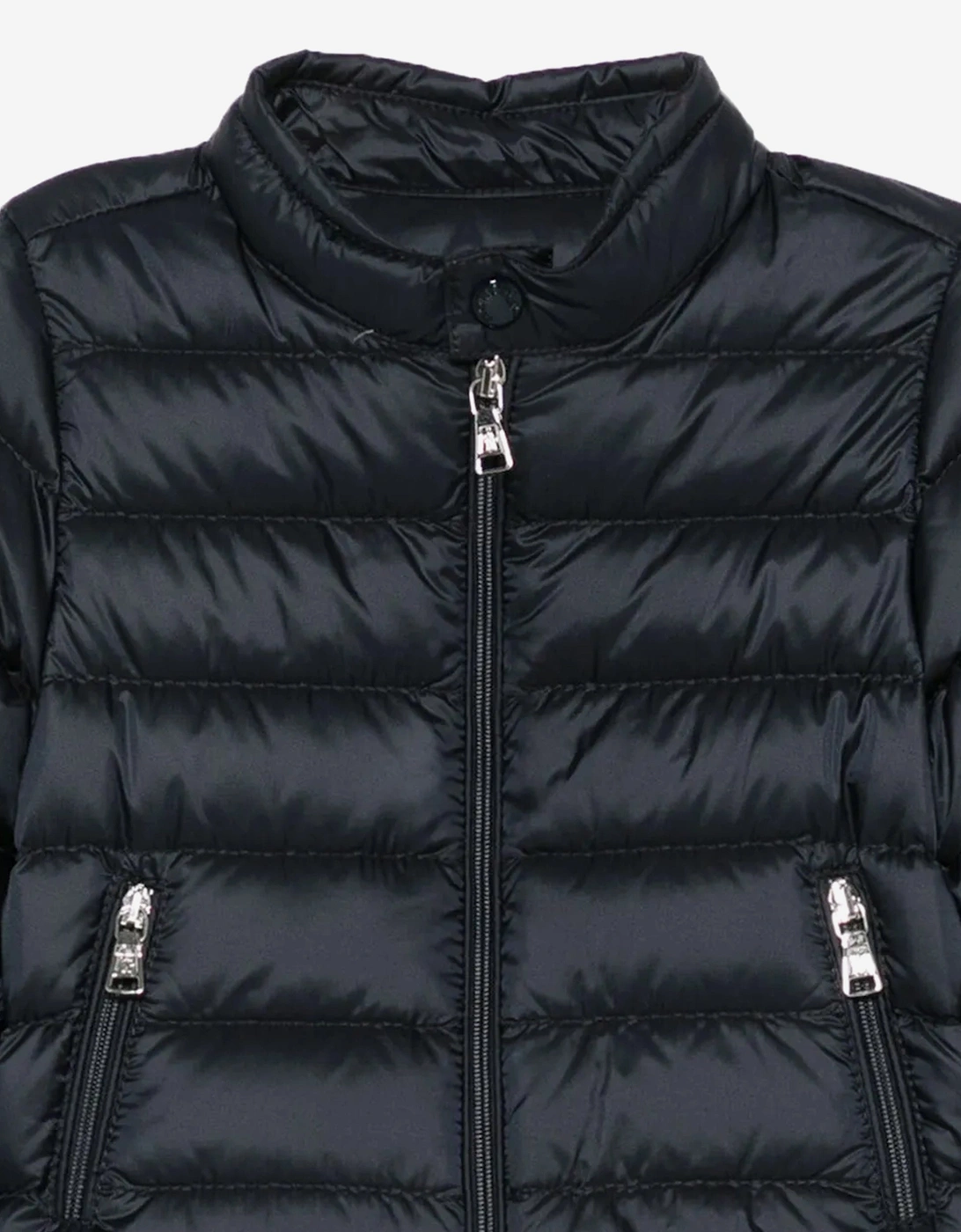 Baby Boys Down Padded Acorus Jacket in Navy