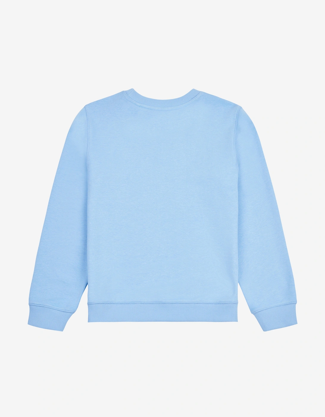 Boys French Terry Small Logo Sweatshirt in Blue