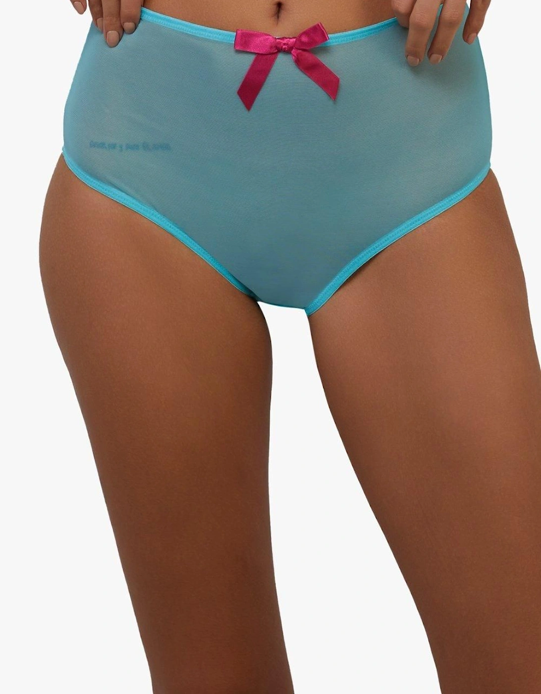 Cleo Contrast Stitch Mesh Retro High Waisted Brief, 2 of 1